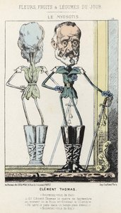 Le Myosotis: karikatur om Clément Thomas - ill. fra 03/02/1871 i "Dagens blomster, frukt og grønnsaker"