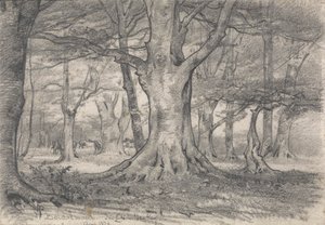 Et skogslandskap nær Boldrewood av Alfred Parsons