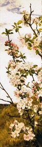 Epleblomst, ca. 1880-86 (olje på panel) av Alfred Parsons