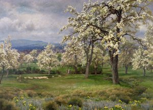 Pærehagen, ca. 1903