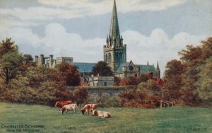 Chichester, katedralen, fra Meadows av Alfred Robert Quinton