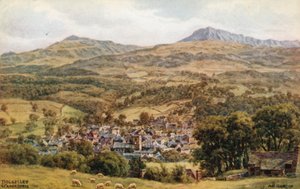 Dolgelley og Cader Idris av Alfred Robert Quinton