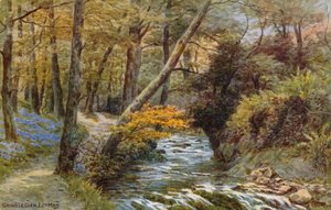 Groudle Glen, I of Man av Alfred Robert Quinton