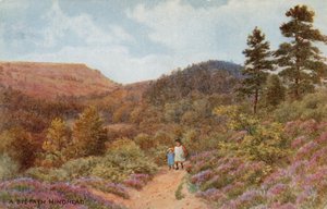 Bakhodet av Alfred Robert Quinton