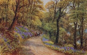 Hobby Drive, Clovelly (farge litho) av Alfred Robert Quinton
