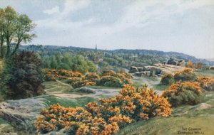 The Common, Tunbridge Wells av Alfred Robert Quinton