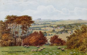 The Downs med Chanctonbury Ring, Nr Worthing av Alfred Robert Quinton