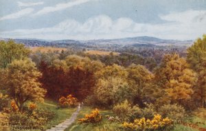 The Happy Valley, Tunbridge Wells