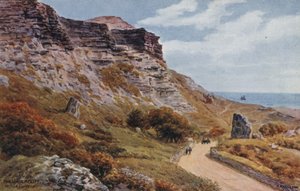 The Undercliff, Niton, I of Wight av Alfred Robert Quinton