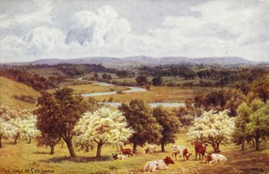 The Vale of Evesham av Alfred Robert Quinton