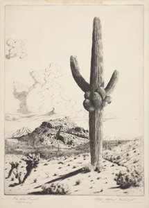 The Sentinel (Sahuaro) (etsing og akvatint) av Alfred Rudolph Waud