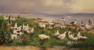 Gjess av Alfred Schonian