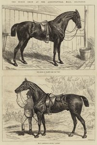 Horse Show på Agricultural Hall, Islington