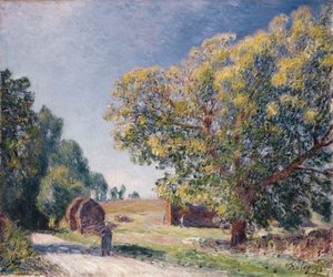 En lysning i en skog, 1895 av Alfred Sisley