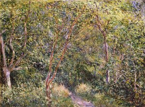 Ukjent bilde av Alfred Sisley