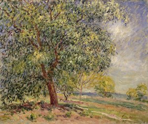 Valnøtttre ved Sablons om våren; Valnøtttrær ved Sablons, våren, 1885 av Alfred Sisley