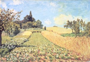 Wheat Field (olje på lerret) av Alfred Sisley