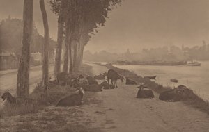  av Alfred Stieglitz