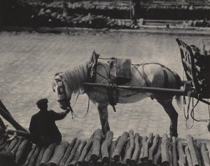  av Alfred Stieglitz