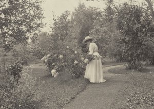  av Alfred Stieglitz
