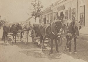  av Alfred Stieglitz