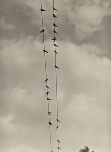  av Alfred Stieglitz