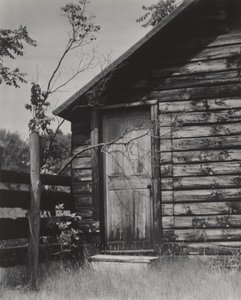  av Alfred Stieglitz
