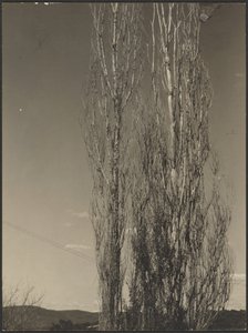  av Alfred Stieglitz