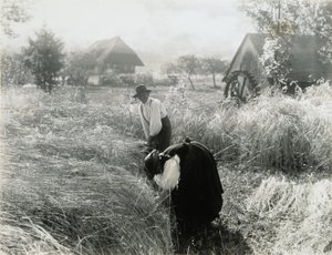  av Alfred Stieglitz