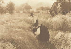 Tidlig morgen, 1894. av Alfred Stieglitz