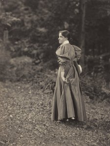  av Alfred Stieglitz