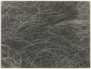 Tilsvarende av Alfred Stieglitz