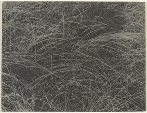 Tilsvarende, 1927. av Alfred Stieglitz
