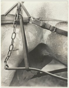 Tilsvarende, Spiritual America av Alfred Stieglitz