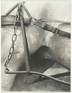 Equivalent, Spiritual America, 1923. av Alfred Stieglitz