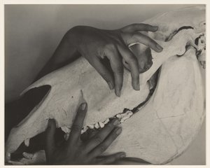  av Alfred Stieglitz