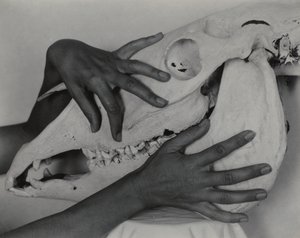  av Alfred Stieglitz