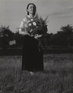  av Alfred Stieglitz