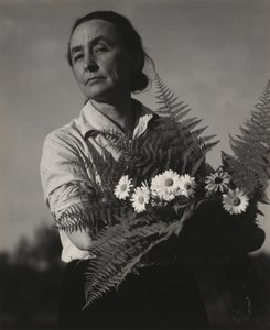  av Alfred Stieglitz