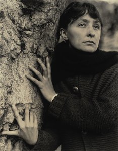  av Alfred Stieglitz