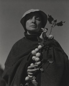  av Alfred Stieglitz