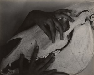  av Alfred Stieglitz