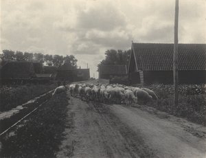 av Alfred Stieglitz