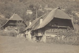  av Alfred Stieglitz