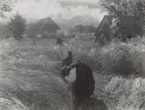  av Alfred Stieglitz
