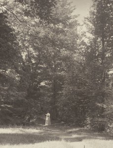  av Alfred Stieglitz