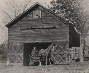  av Alfred Stieglitz