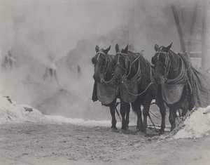  av Alfred Stieglitz