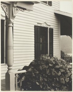 av Alfred Stieglitz