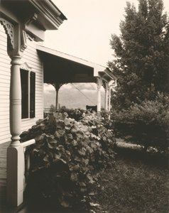  av Alfred Stieglitz